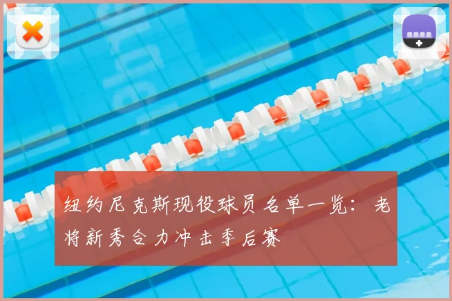 纽约尼克斯现役球员名单一览：老将新秀合力冲击季后赛