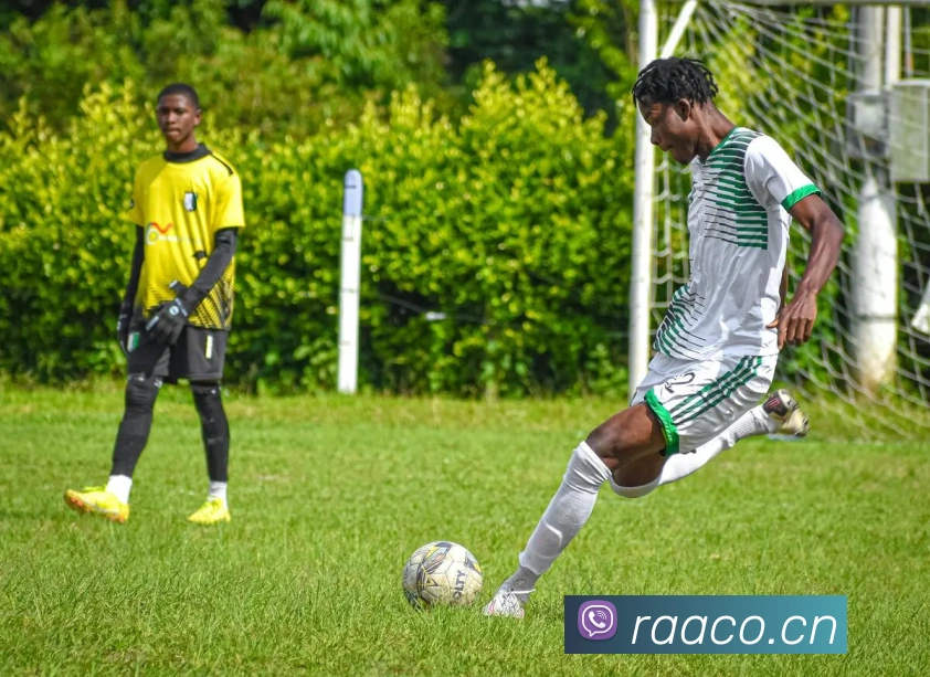 ayx爱游官方网站品牌故事