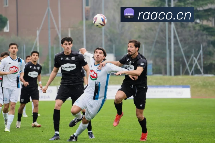 ayx爱游官方网站服务体系